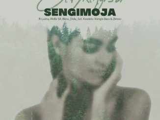 Citykingrsa - Sengimoja