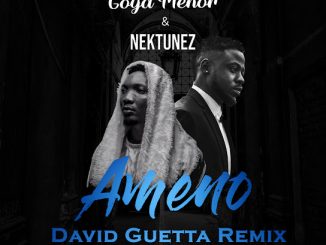 Goya Menor - Ameno Amapiano (You Wanna Bamba) [David Guetta Remix]