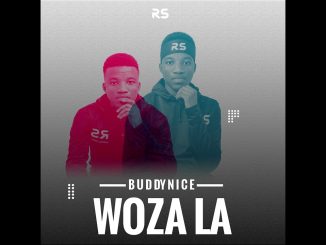 Buddynice - Woza La (Redemial Mix)