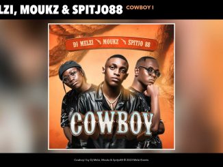 DJ Melzi - Cowboy I