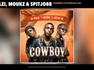 DJ Melzi - Cowboy Vii (Strata Jo) (Official Audio)