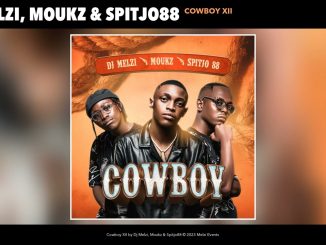 Dj Melzi, Moukz & Spitjo88 - Cowboy Xii