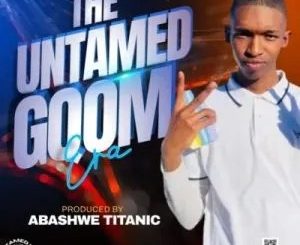 Abashwe Titanic – Have Faith ft DJ Entle WC