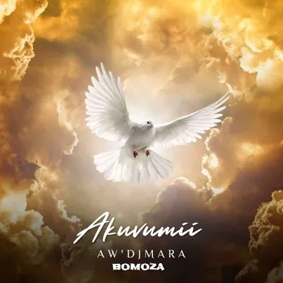 Aw'DjMara – Akuvumi