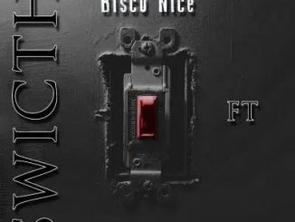 Bisco Nice – Switch ft Mafis MusiQ