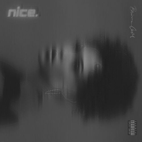 Brianna Castro – Nice