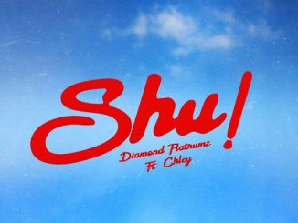 Diamond Platnumz – Shu! ft. Chley