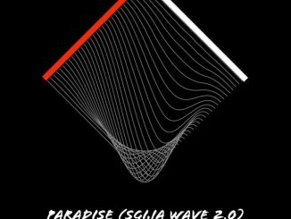 DrummeRTee924 – Paradise (Sgija Wave 2,0)