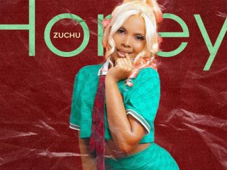 https://audiomack.com/zuchu/song/honey