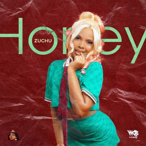 https://audiomack.com/zuchu/song/honey