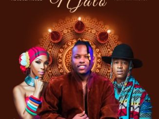 Mduduzi Ncube – Njalo ft Mafikizolo