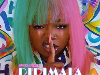 Miss Pammie – Didimala ft. Teddy