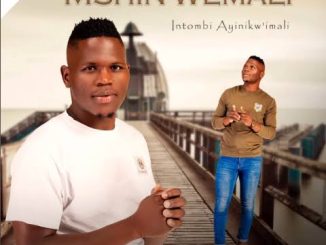 Mshinwemali – Ngicela Uhambe Ft Zothando