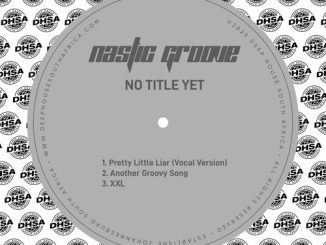 Nastic Groove – Pretty Little Liar (Vocal Version)