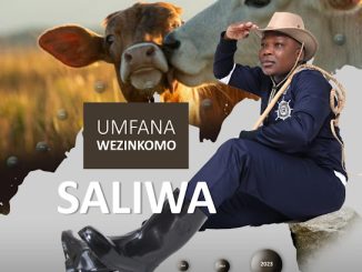 Saliwa - Emaresi Ft. Gqizile