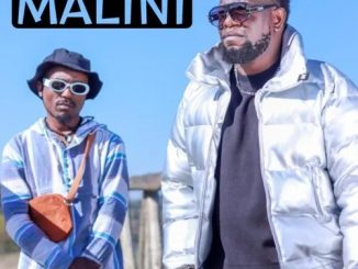 Sipho Eric Ndlovu – Malini ft. TxPMD & Tweestgottahalla