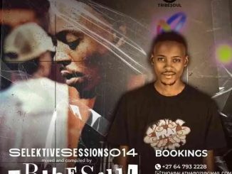 TribeSoul – Selektive Sessions 014 Mix