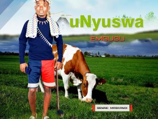 Unyuswa - Ngezenzo