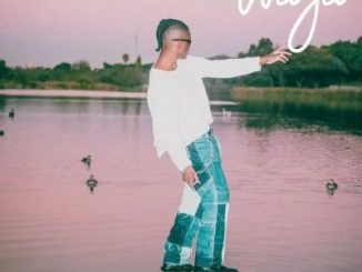 Benny Chill, Focalistic – Waya