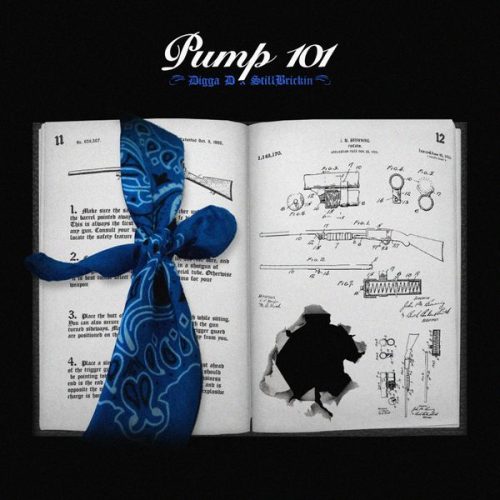 Digga D – Pump 101 ft Still Brickin'