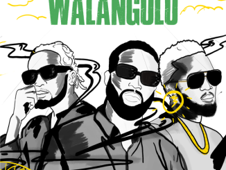 DJ Neptune – Walangolo ft. Mr Eazi & Konshens