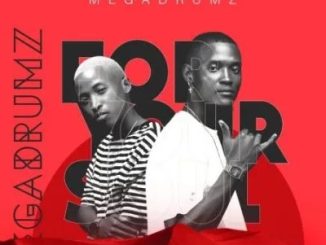 Megadrumz – Lo December ft NtoMusica & Masandi