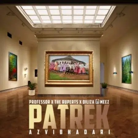 Professor, The Ruperts & Diliza ft Meez – Patrek (Azvibhadari)