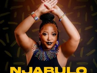 Valee Music, Cuebur & Danzo – Njabulo