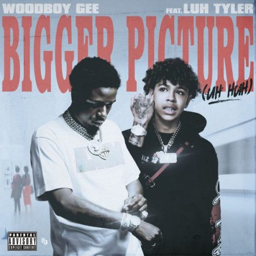 Woodboy Gee – Bigger Picture (uh huh) Ft. Luh Tyler