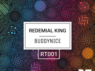 Buddynice - Teenage Love (Redemial Mix) Ft. Surprise M