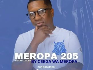 Ceega – Meropa 205 (Expesive Woolworths Sound)