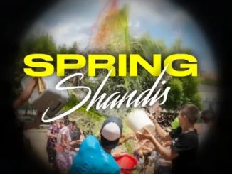 DJ Ace – Spring Shandis (Amapiano 2023 Mix)