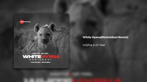 InQfive & Dr Feel – White Hyena (Motivesoul Remix)