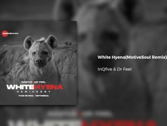 InQfive & Dr Feel – White Hyena (Motivesoul Remix)