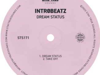 Intr0beatz – Dream Status