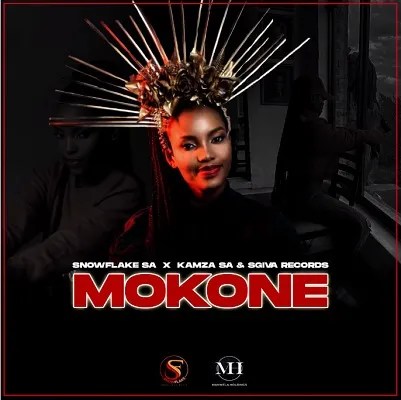 Snowflake SA, Kamza SA & Sgiva Record – Mokone