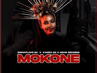 Snowflake SA, Kamza SA & Sgiva Record – Mokone