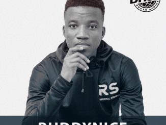 Buddynice – Deep House South Africa 142 Mix