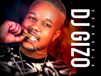 Dj Gizo - Skyf Skyf Ft. Drip Gogo, Mawhoo, Flash Sa & My Gerald Sa