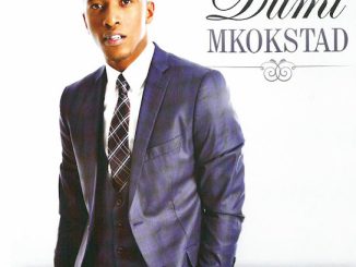 Dumi Mkokstad - He Was There