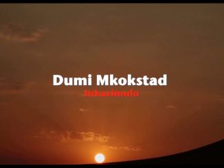 Dumi Mkokstad – Inkazimulo