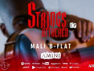 Mali B-Flat - Amini