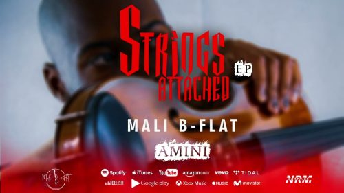 Mali B-Flat - Amini