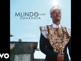 Mlindo The Vocalist - Wamuhle Ft. Shwi Nomtekhala