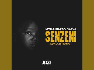 Mthandazo Gatya - Senzeni