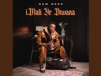 Sam Deep - Bramfana Ft. Daliwonga