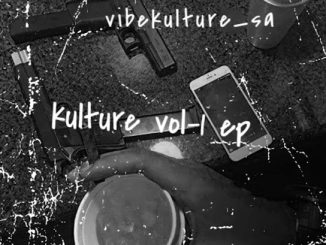 Vibekulture Sa - Bells And Bass