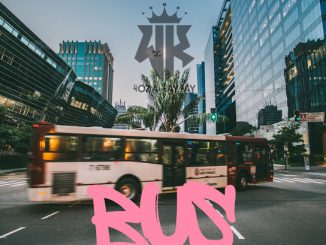 Vibekulture Sa - Bus Ft. Way Kay Bw & Vibekulture Sa