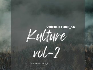 Vibekulture Sa - Lagos Movement