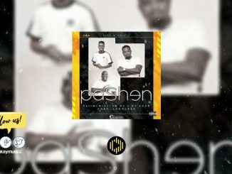 Yurimcmilliondj & Dj Sour - Pashen Ft. Leehleza